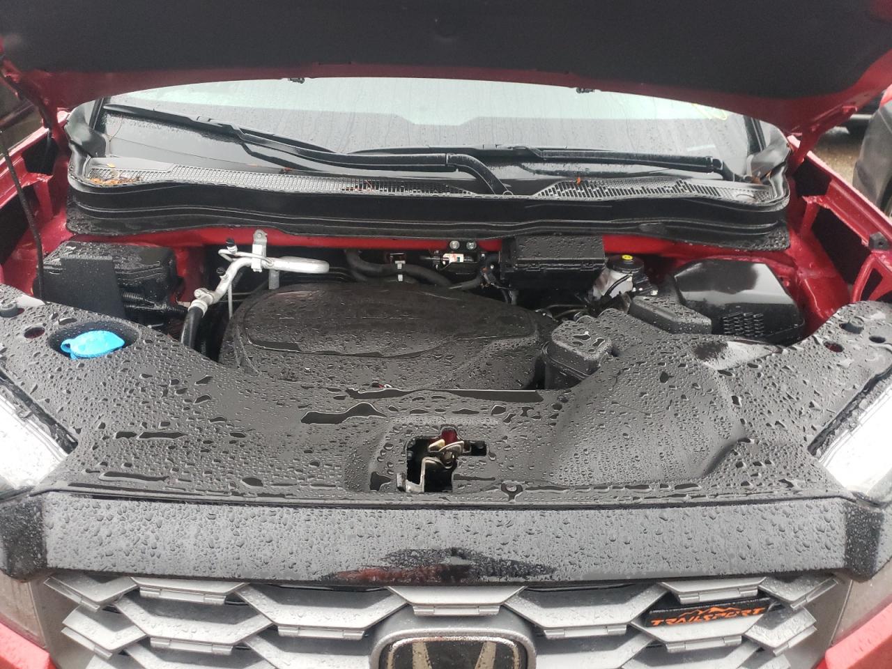 2022 HONDA PASSPORT TRAIL SPORT VIN:5FNYF8H65NB023565