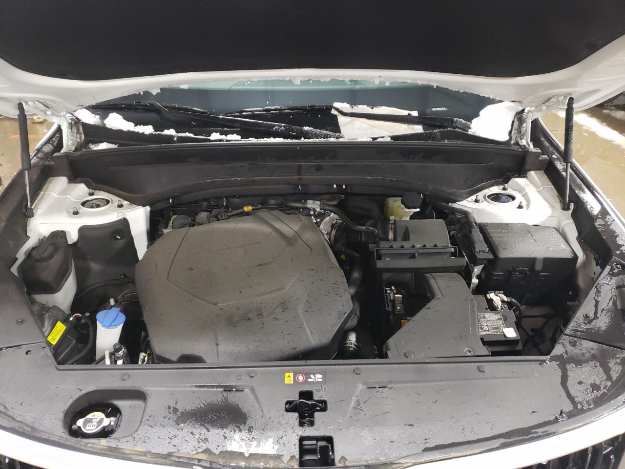 2023 KIA TELLURIDE LX VIN:5XYP24GC5PG375127