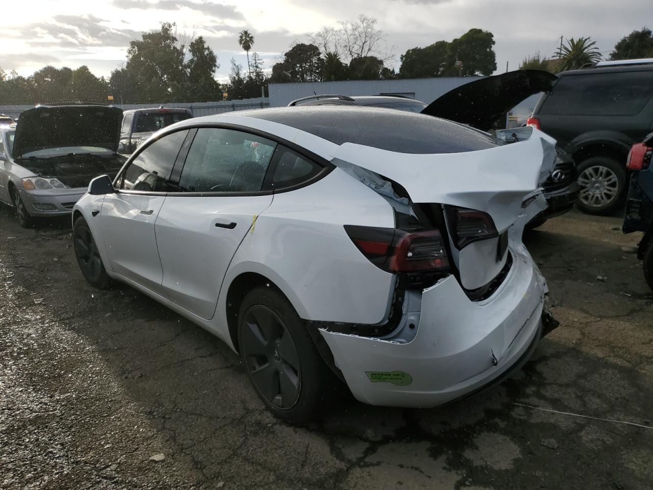 2023 TESLA MODEL 3  VIN:5YJ3E1EB8PF594878