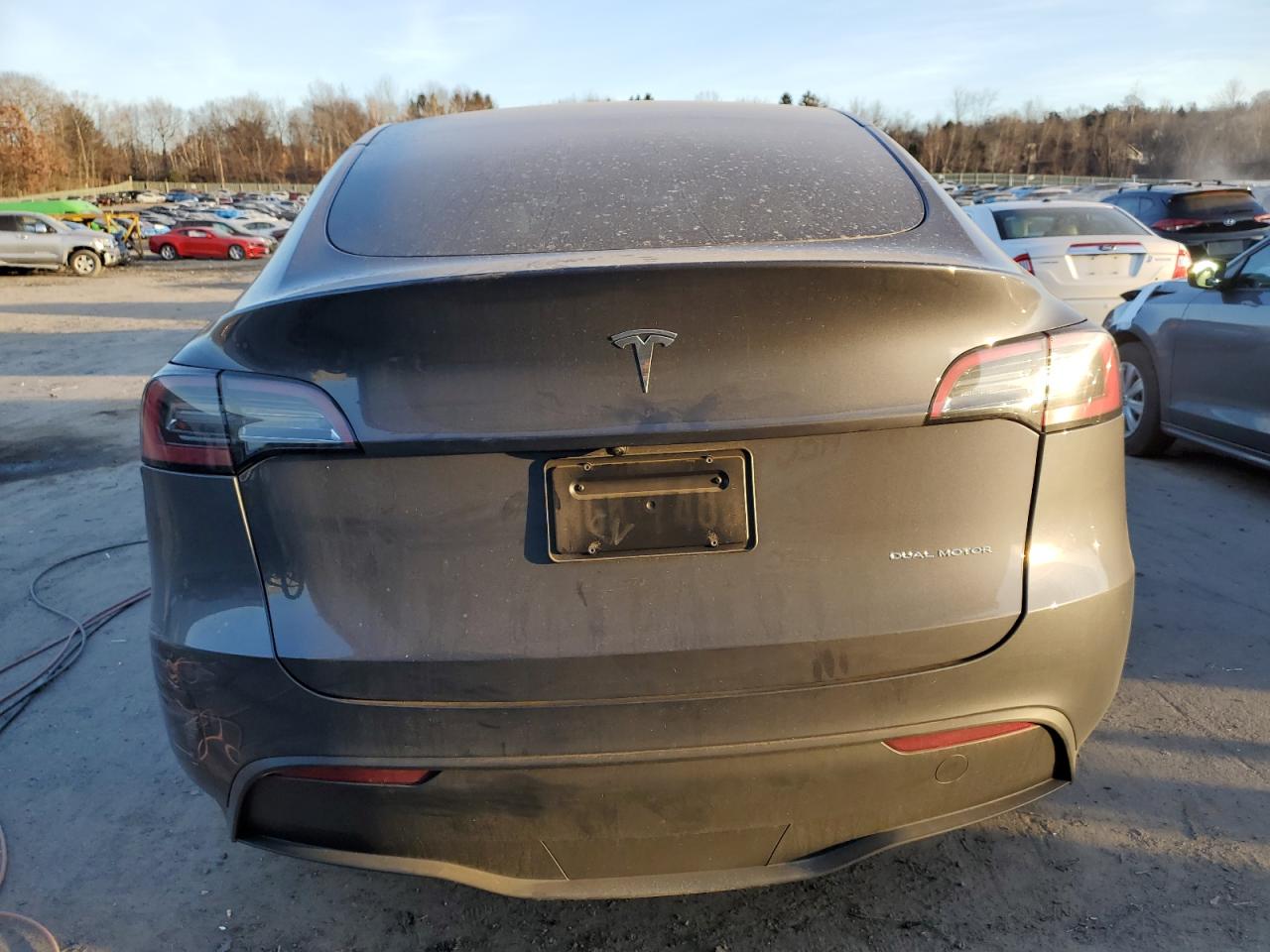 2023 TESLA MODEL Y  VIN:7SAYGDEE2PF830570