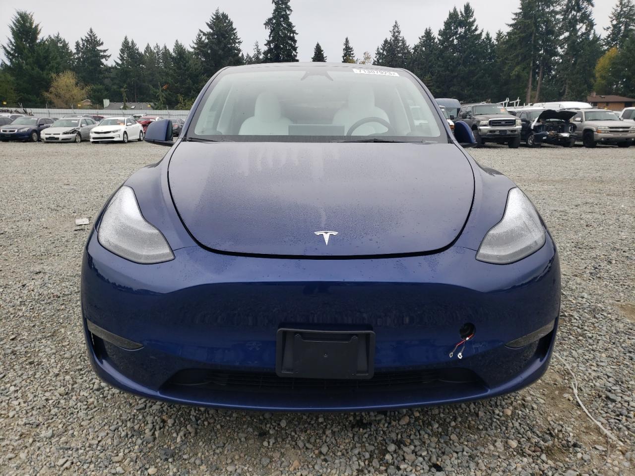 2023 TESLA MODEL Y  VIN:7SAYGDEE5PF842485