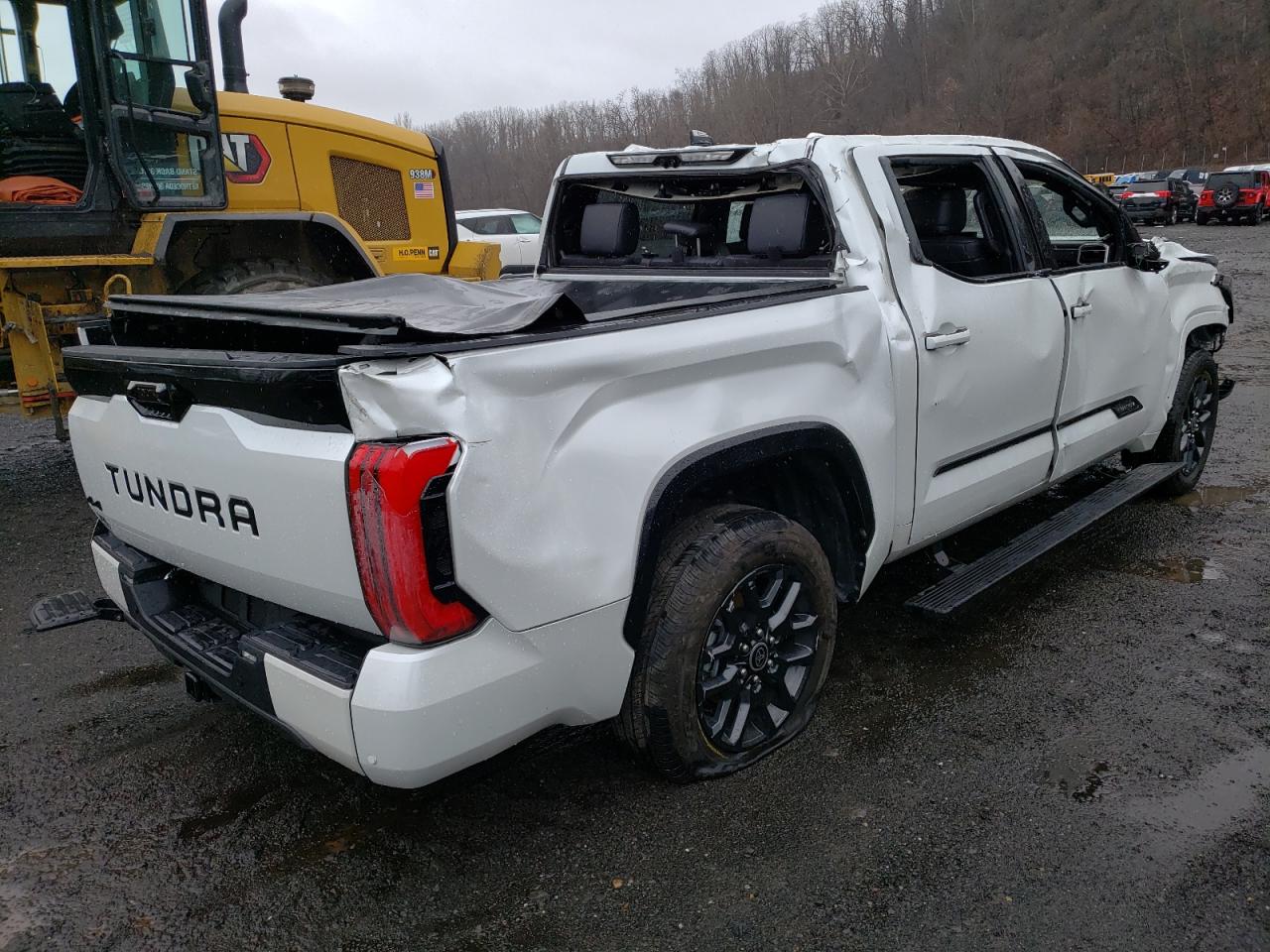 2022 TOYOTA TUNDRA CREWMAX PLATINUM VIN:5TFNC5DB6NX007670