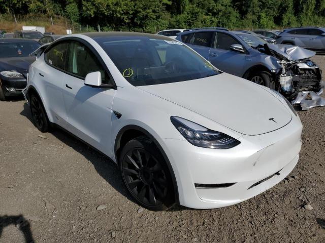 2021 TESLA MODEL Y VIN: 5YJYGDEE1MF254690