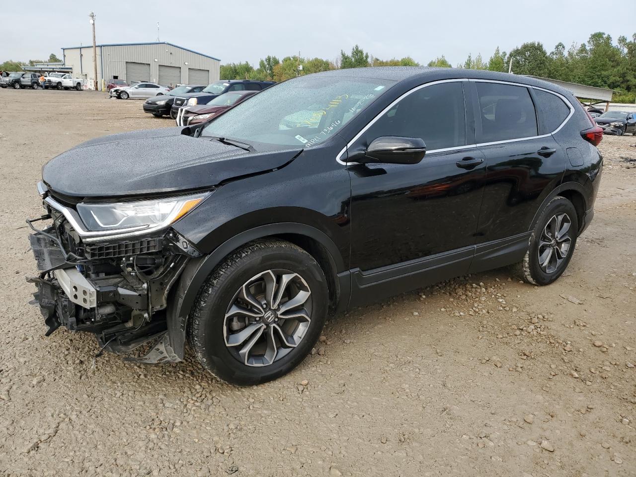 2022 HONDA CR-V EXL VIN:7FARW1H86NE016562