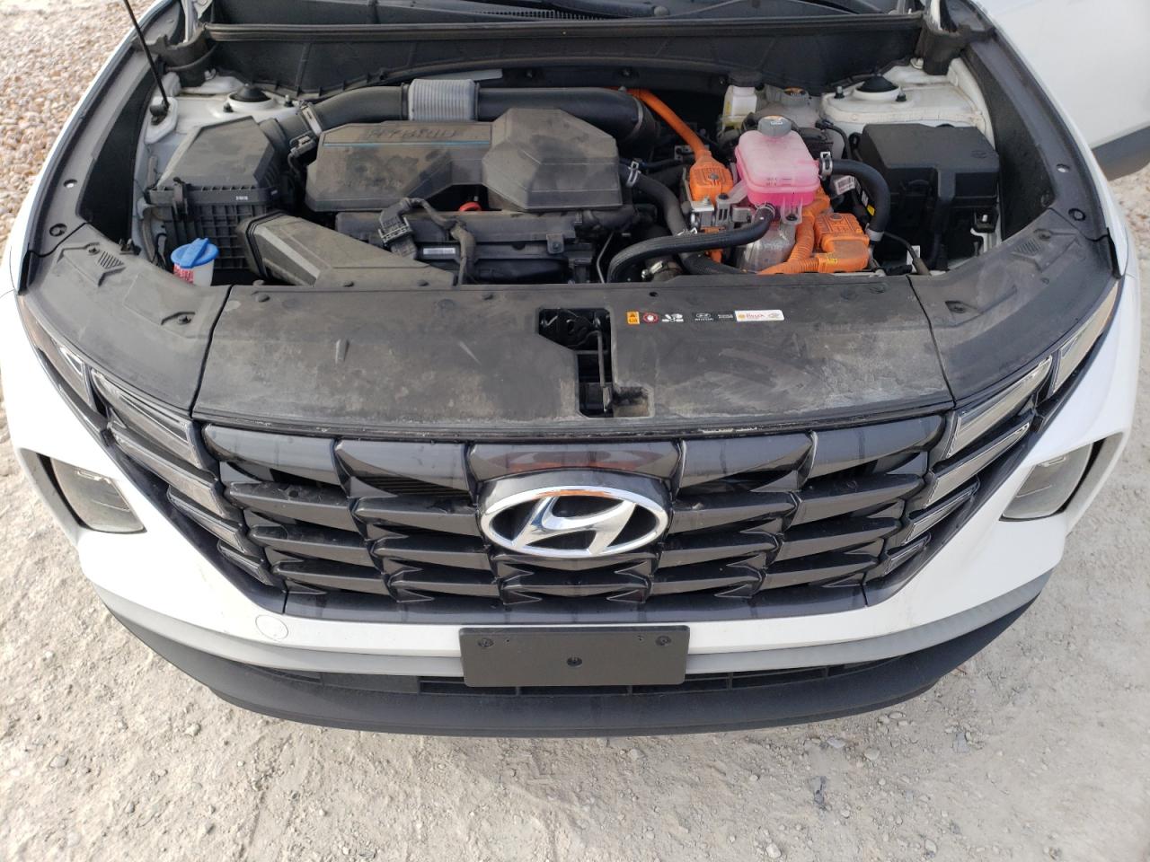 2022 HYUNDAI TUCSON BLUE VIN:KM8JBCA19NU031511
