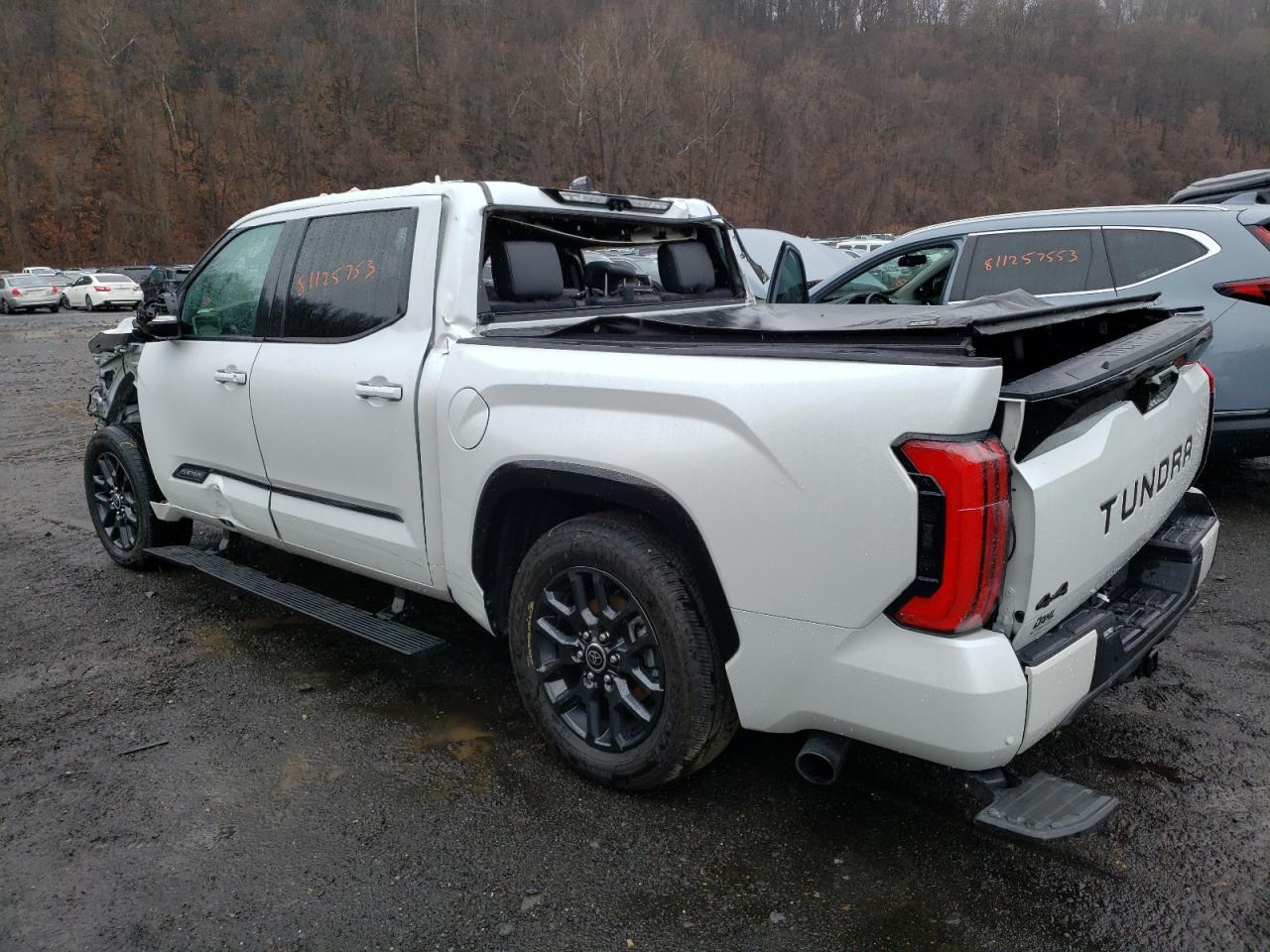 2022 TOYOTA TUNDRA CREWMAX PLATINUM VIN:5TFNC5DB6NX007670