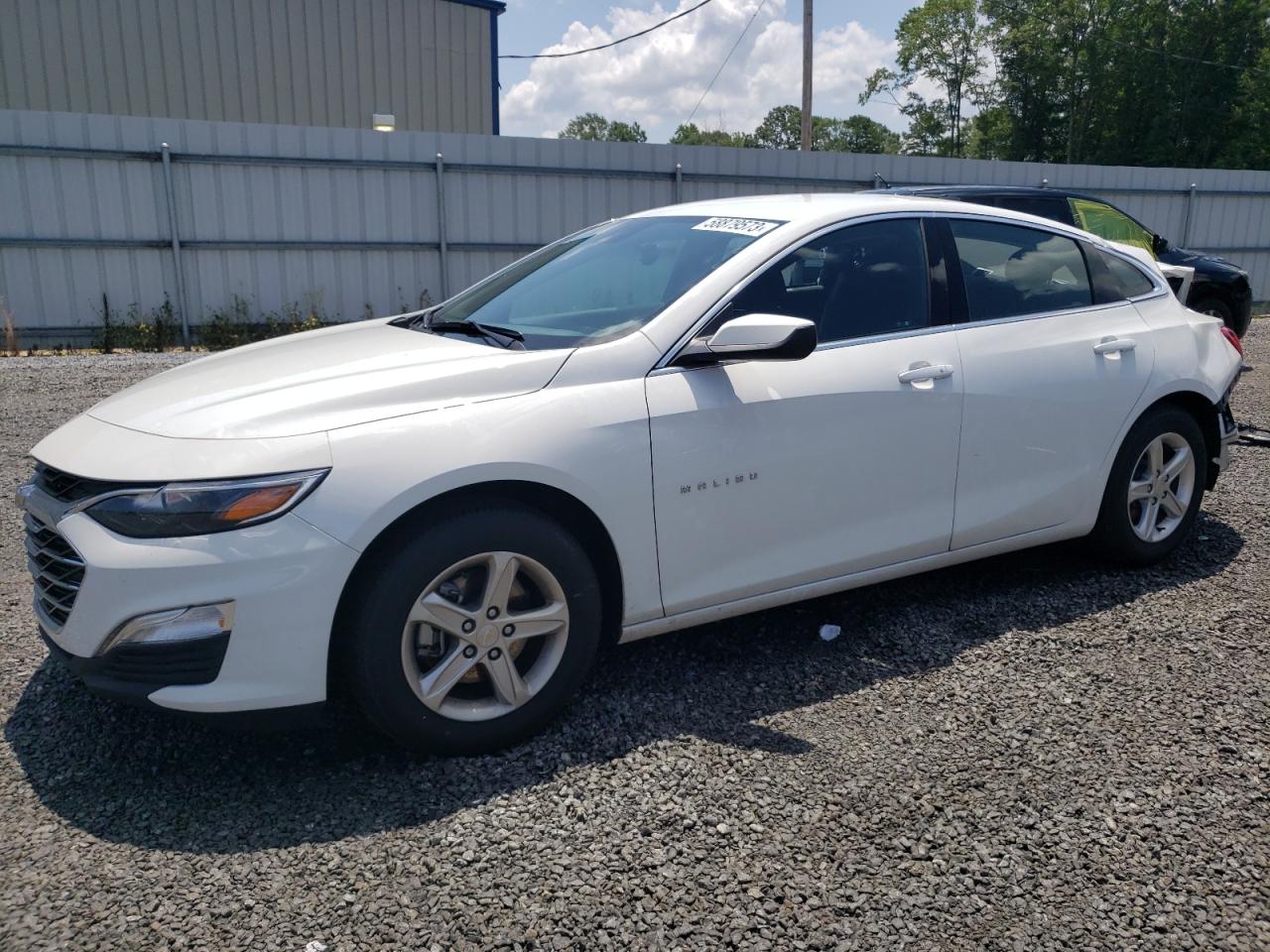 2023 CHEVROLET MALIBU LS VIN:1G1ZC5ST6PF151993
