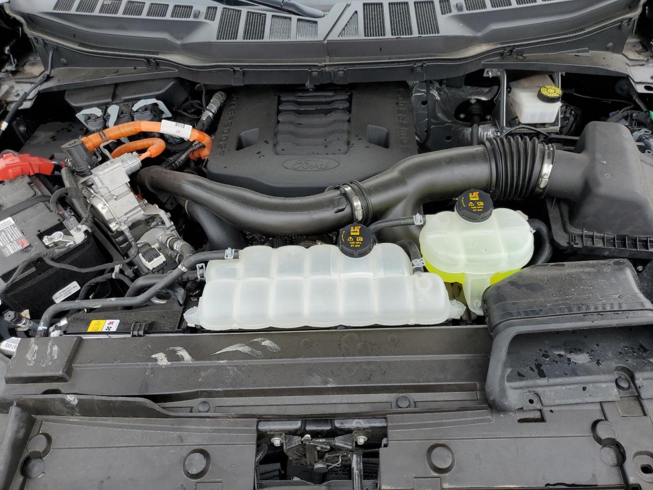 2023 FORD F150 SUPERCREW VIN:1FTFW1EDXPFB64437