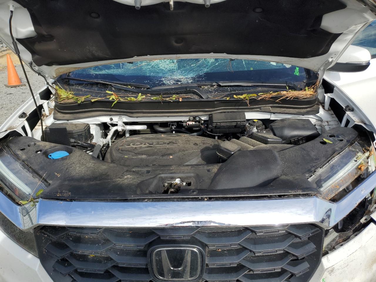 2022 HONDA PASSPORT EXL VIN:5FNYF7H52NB000729