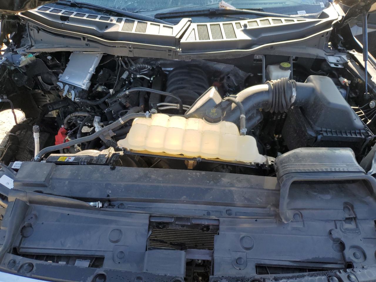 2023 FORD F150 SUPERCREW VIN:1FTFW1E53PKD33567