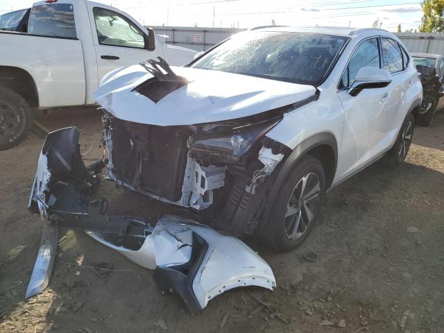 2021 LEXUS NX 300 BASE VIN: JTJGARDZ0M5022112