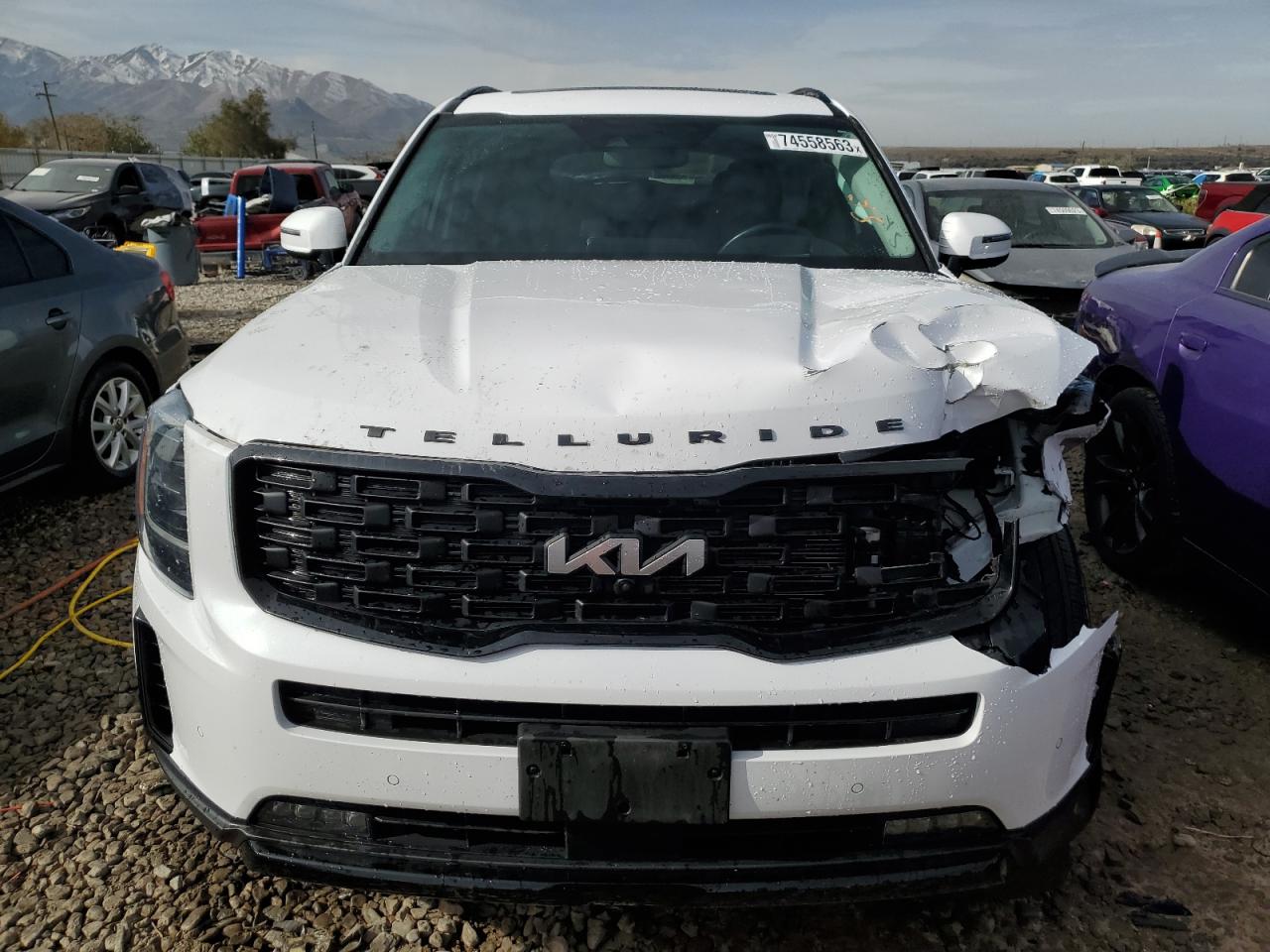2022 KIA TELLURIDE SX VIN:5XYP5DHC1NG200988