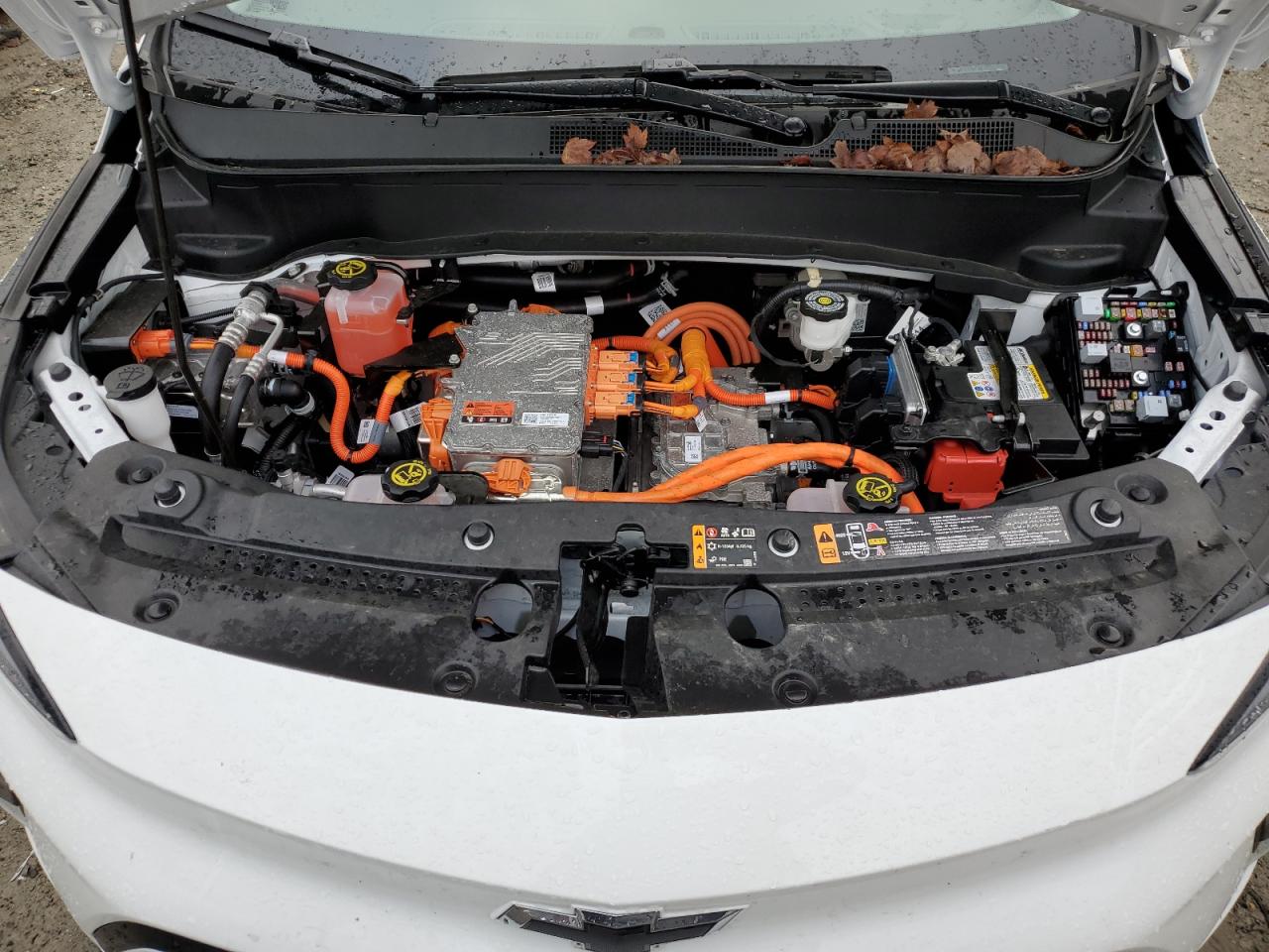 2023 CHEVROLET BOLT EUV PREMIER VIN:1G1FZ6S06P4116184