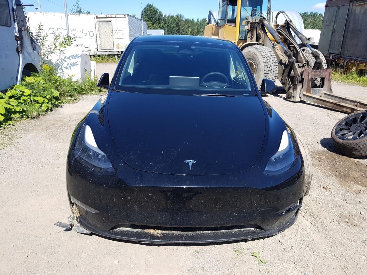 2023 TESLA MODEL Y  VIN:7SAYGDEEXPF693135