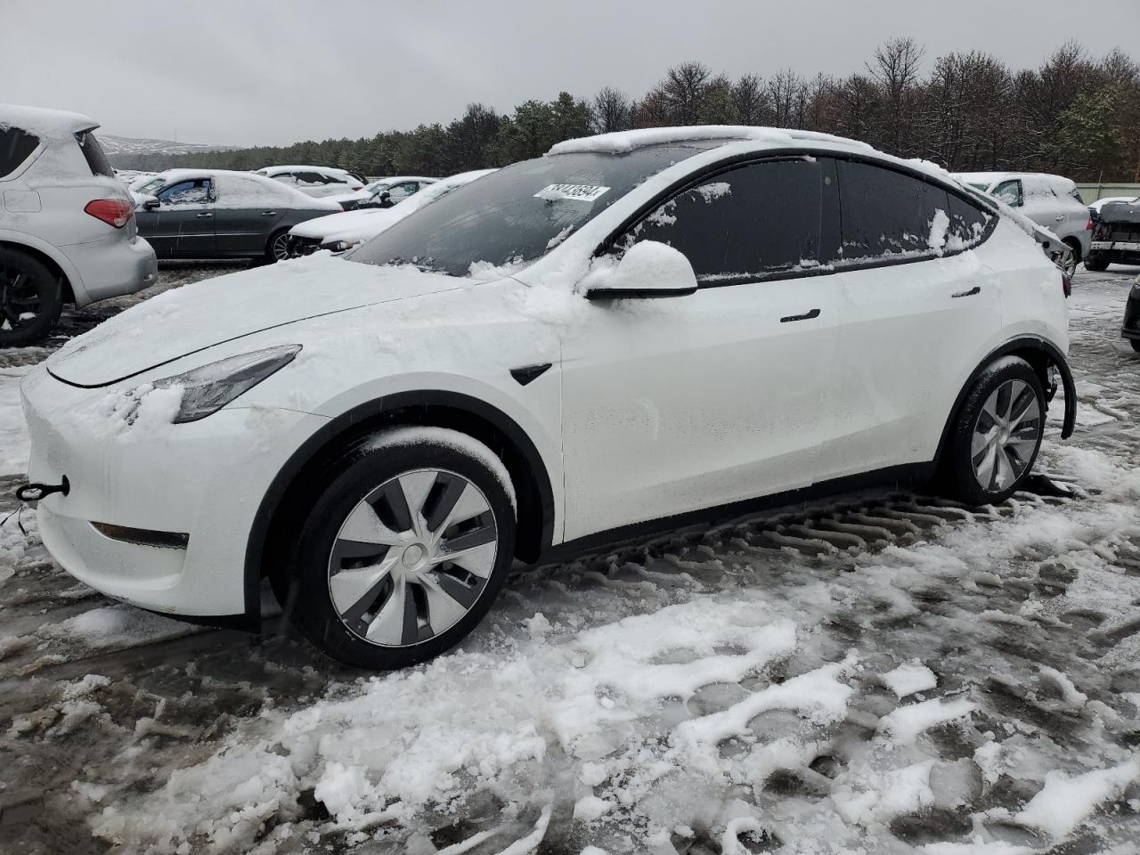 2023 TESLA MODEL Y  VIN:7SAYGDEE5PA035736