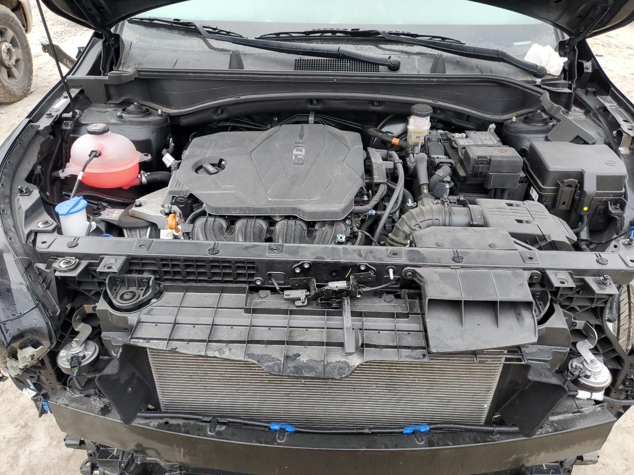 2023 KIA SPORTAGE X LINE VIN:5XYK6CAF8PG095794