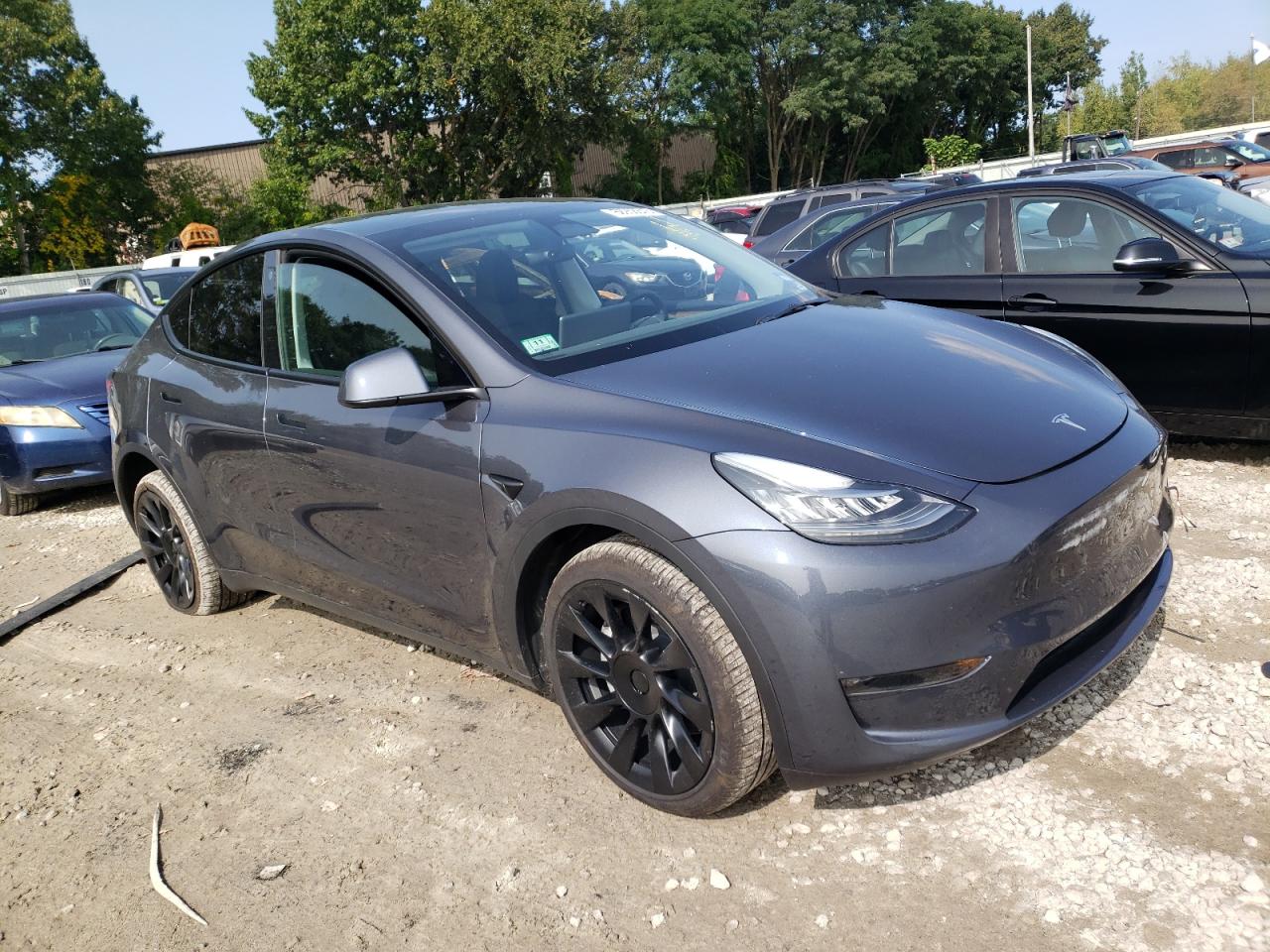 2023 TESLA MODEL Y  VIN:7SAYGDEE3PA029434