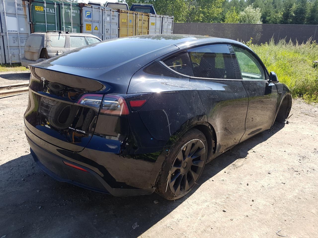 2023 TESLA MODEL Y  VIN:7SAYGDEEXPF693135