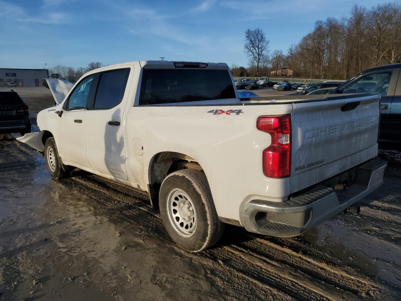 2022 CHEVROLET SILVERADO LTD K1500 VIN:1GCPYAEK3NZ224194