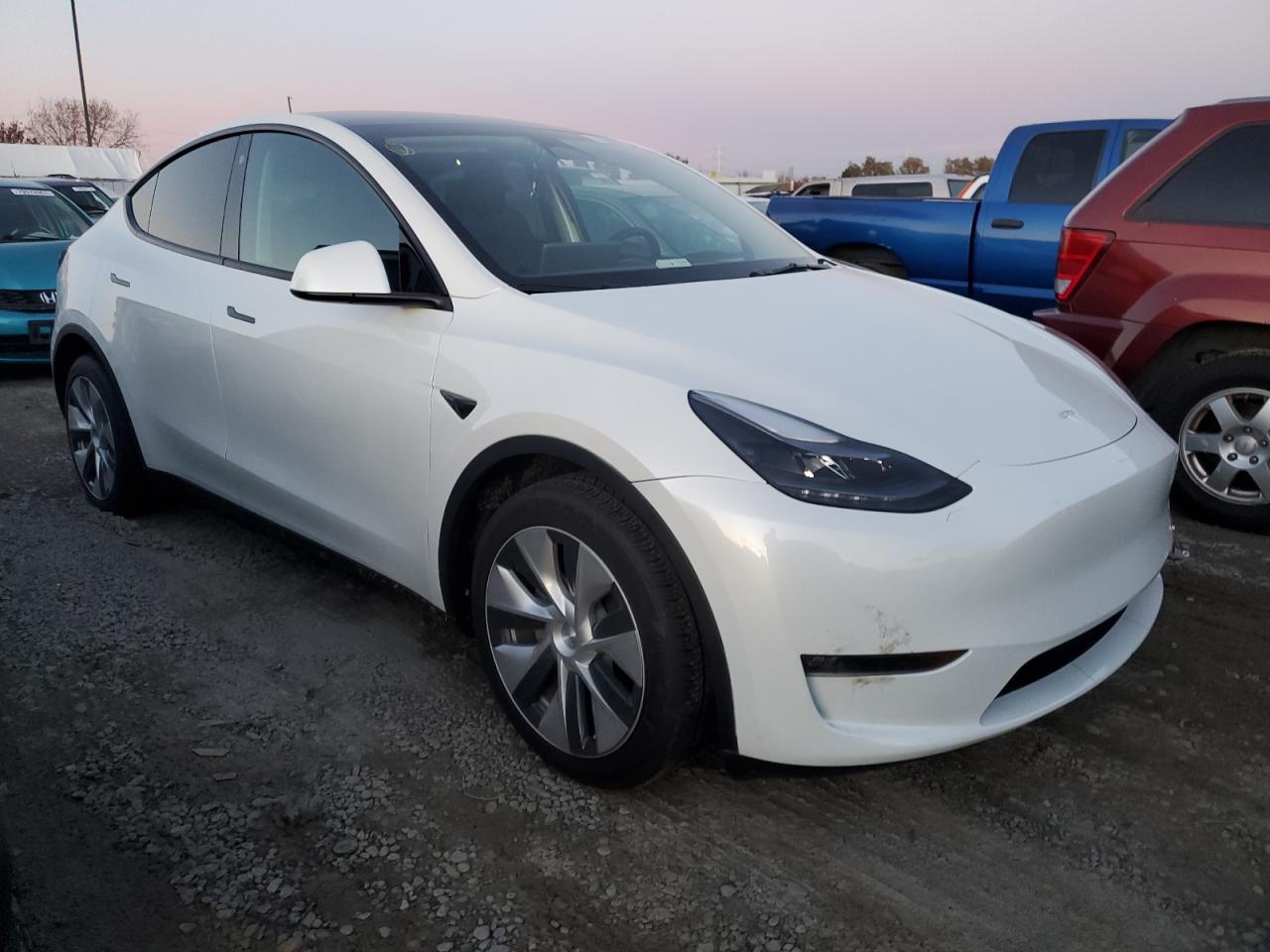 2023 TESLA MODEL Y  VIN:7SAYGDEE6PF748499