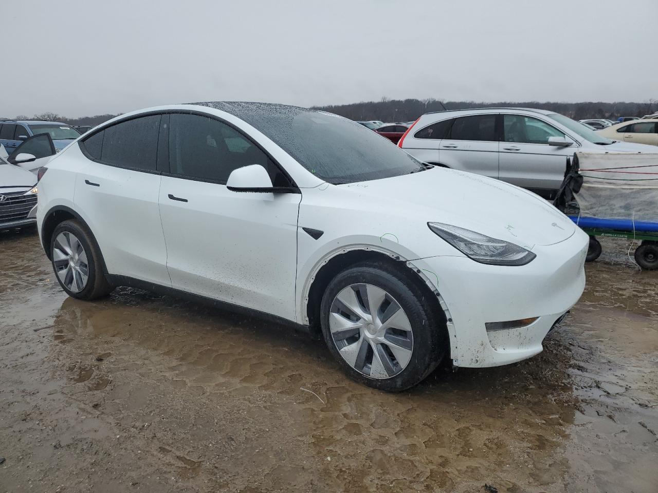 2022 TESLA MODEL Y  VIN:7SAYGDEE4NA013014