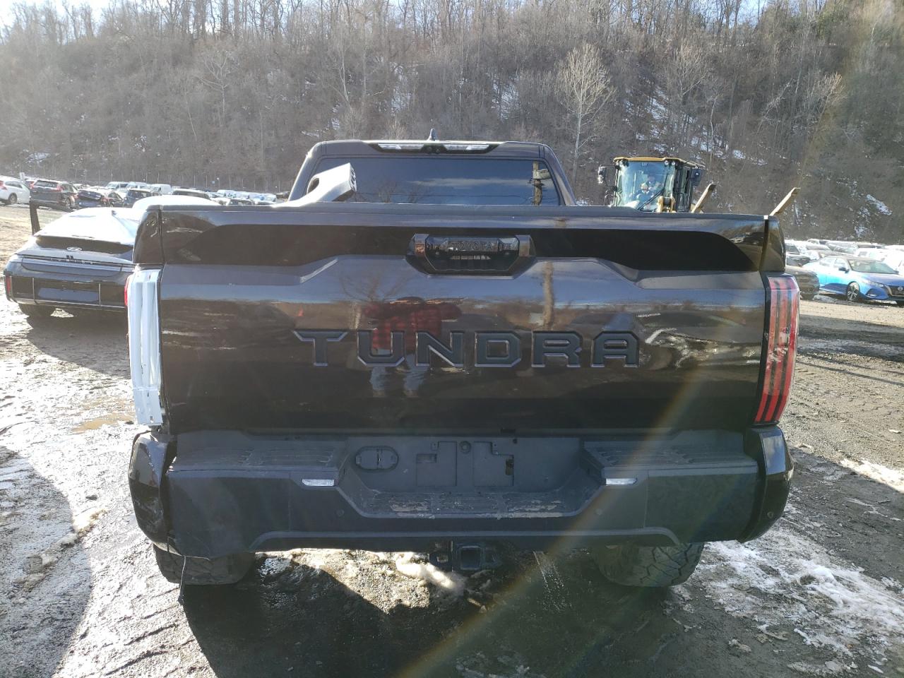 2022 TOYOTA TUNDRA CREWMAX PLATINUM VIN:5TFMC5EC4NX001904