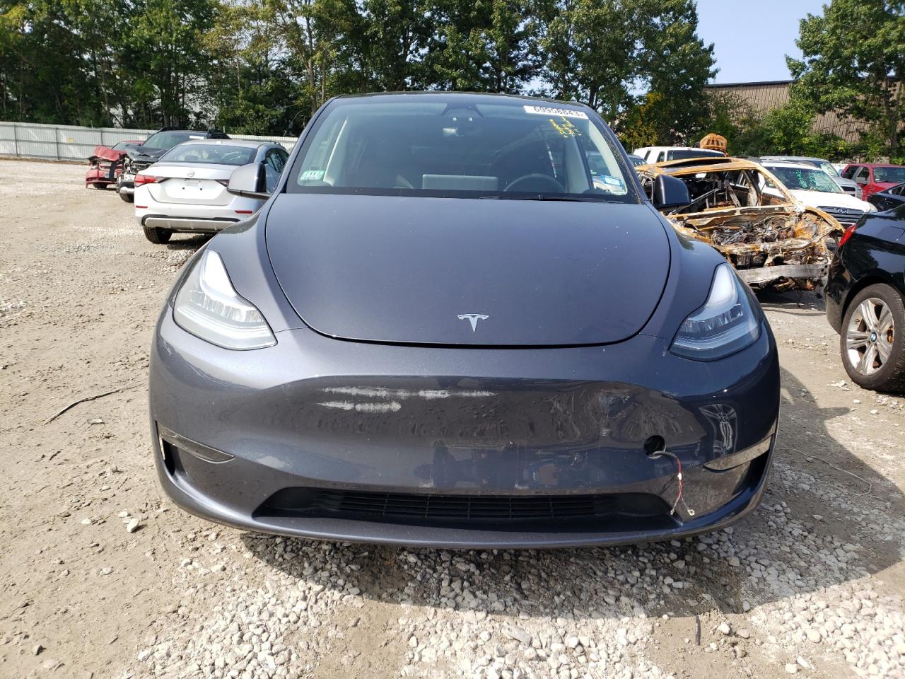 2023 TESLA MODEL Y  VIN:7SAYGDEE3PA029434