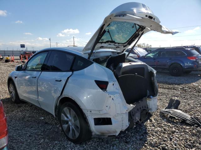 2021 TESLA MODEL Y VIN: 5YJYGDEE9MF188874