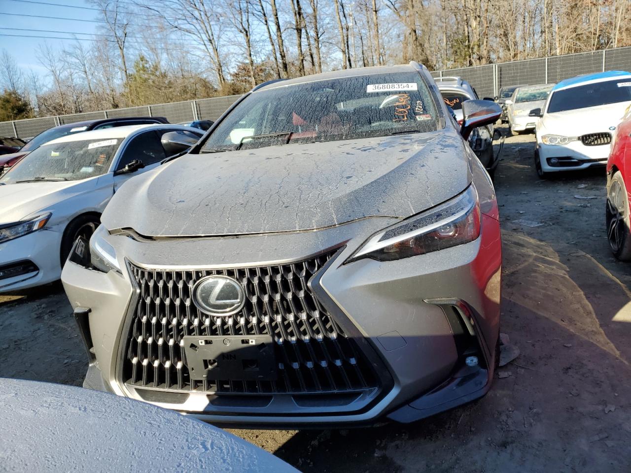 2024 LEXUS NX 350H BASE VIN:2T2AKCEZ0RC017189