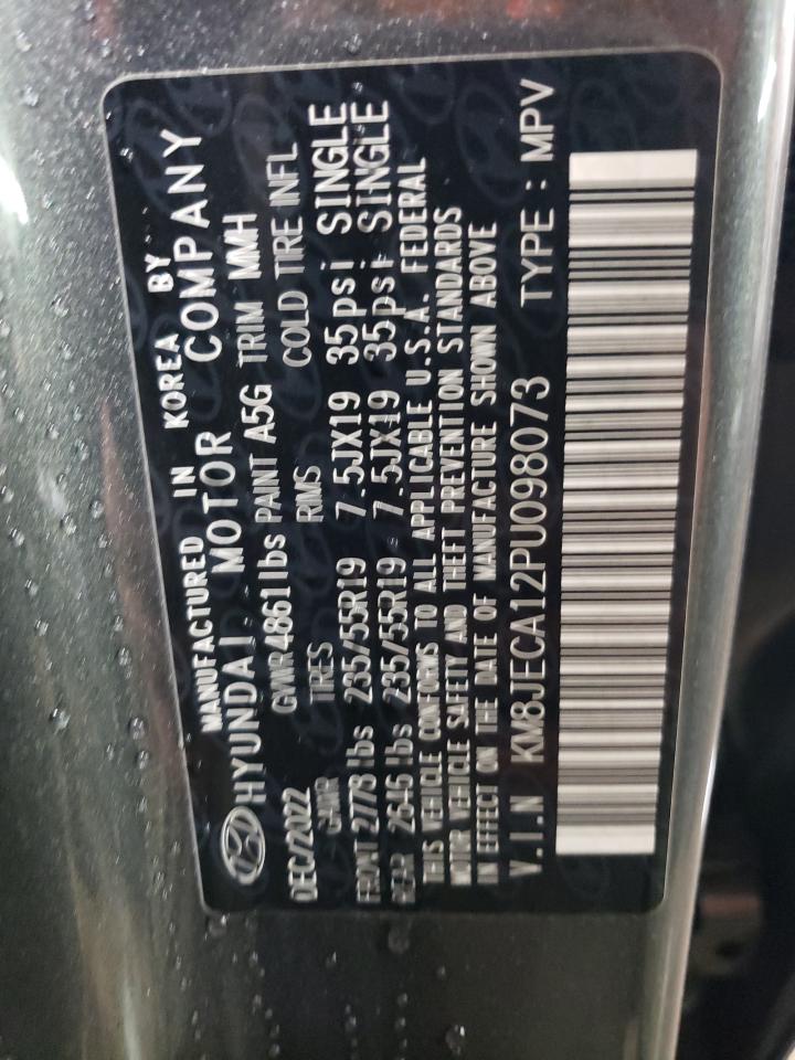 2023 HYUNDAI TUCSON LIMITED VIN:KM8JECA12PU098073