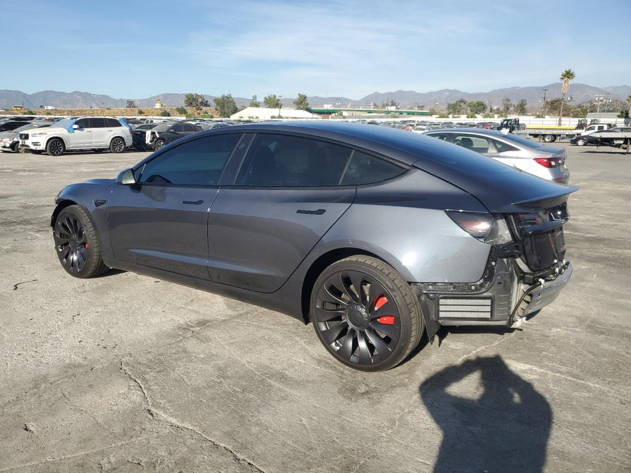 2023 TESLA MODEL 3  VIN:5YJ3E1ECXPF635746