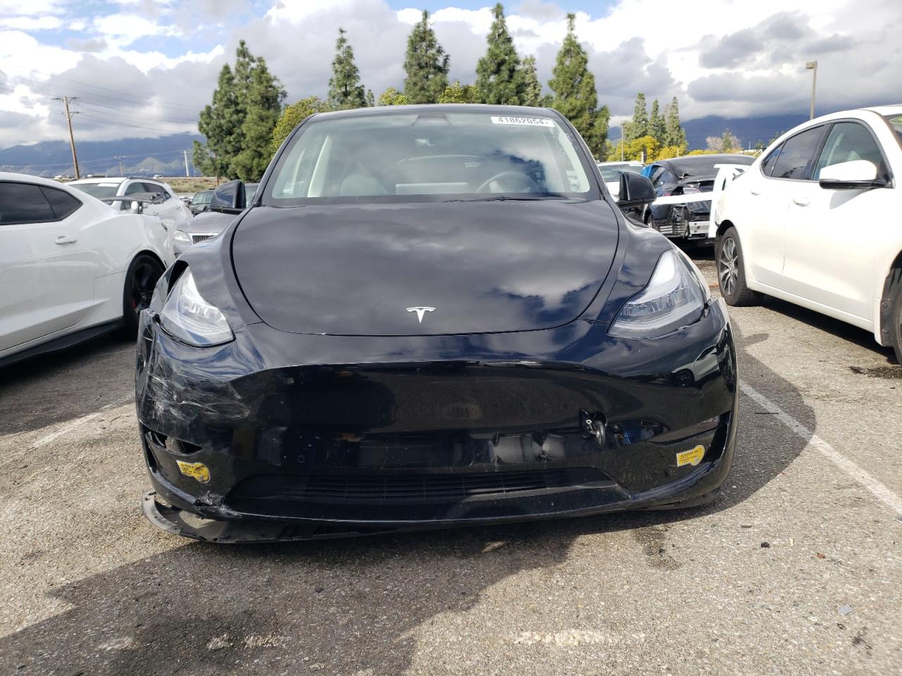 2022 TESLA MODEL Y  VIN:7SAYGDEE3NF361423