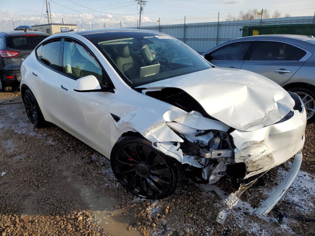 2023 TESLA MODEL Y  VIN:7SAYGDEF3PF591703