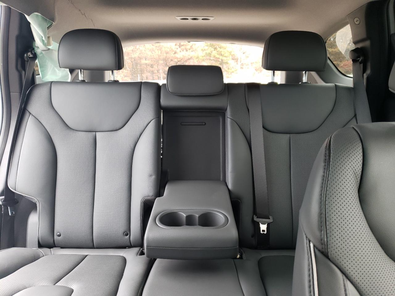 2023 HYUNDAI SANTA FE LIMITED VIN:5NMS4DAL5PH605381