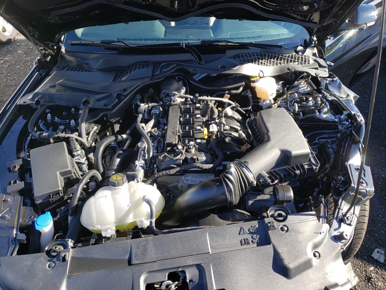 2023 FORD MUSTANG  VIN:1FA6P8TH0P5107896
