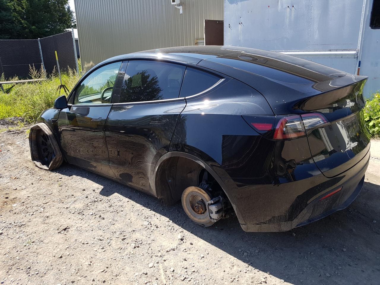 2023 TESLA MODEL Y  VIN:7SAYGDEEXPF693135