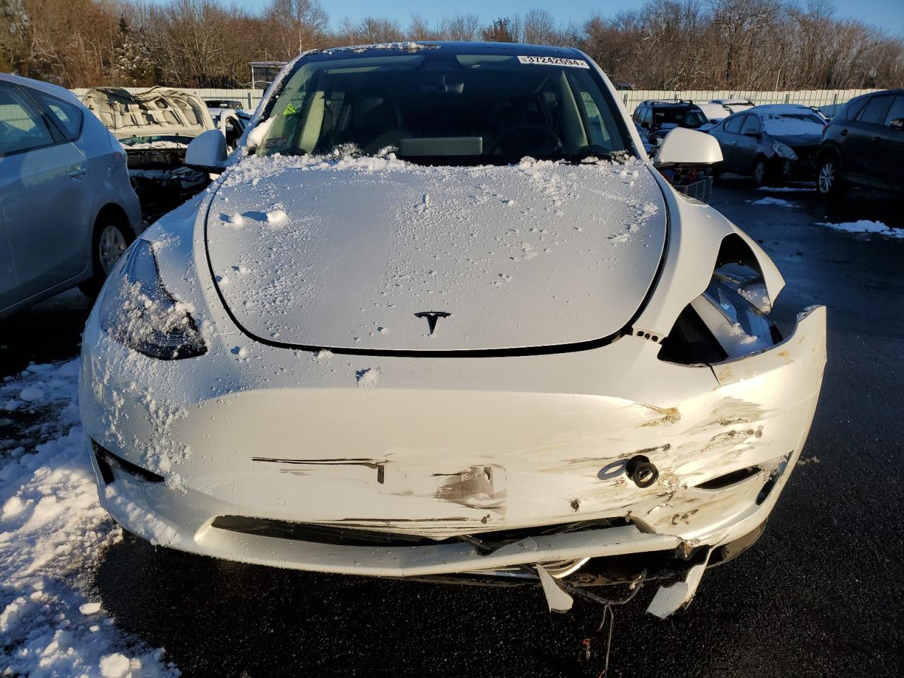 2022 TESLA MODEL Y  VIN:7SAYGDEE3NF392283