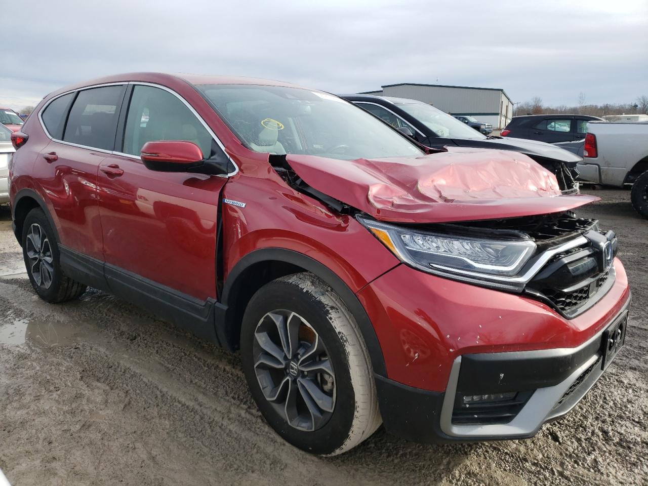 2022 HONDA CR-V EXL VIN:5J6RT6H87NL050146