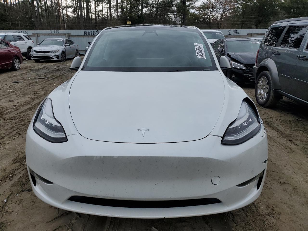 2023 TESLA MODEL Y  VIN:7SAYGDEE4PA041916