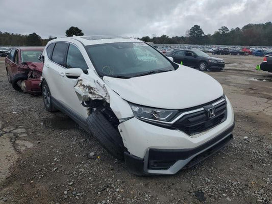 2021 HONDA CR-V EXL VIN: 5J6RW1H84ML007182