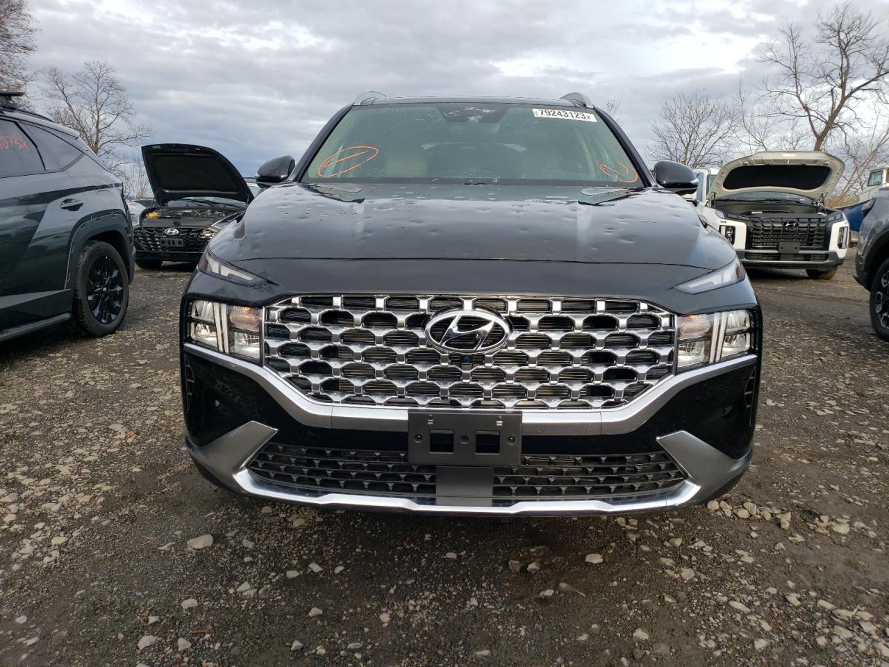 2023 HYUNDAI SANTA FE SEL PREMIUM VIN:5NMS34AJ6PH620148