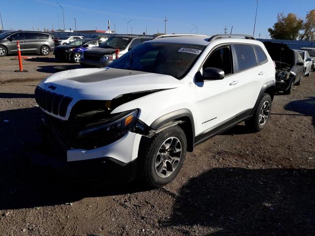 2021 JEEP CHEROKEE TRAILHAWK VIN: 1C4PJMBX1MD159735