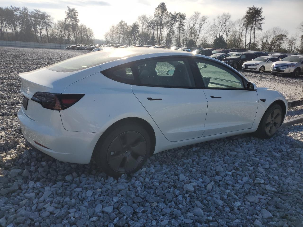 2023 TESLA MODEL 3  VIN:5YJ3E1EA7PF566447