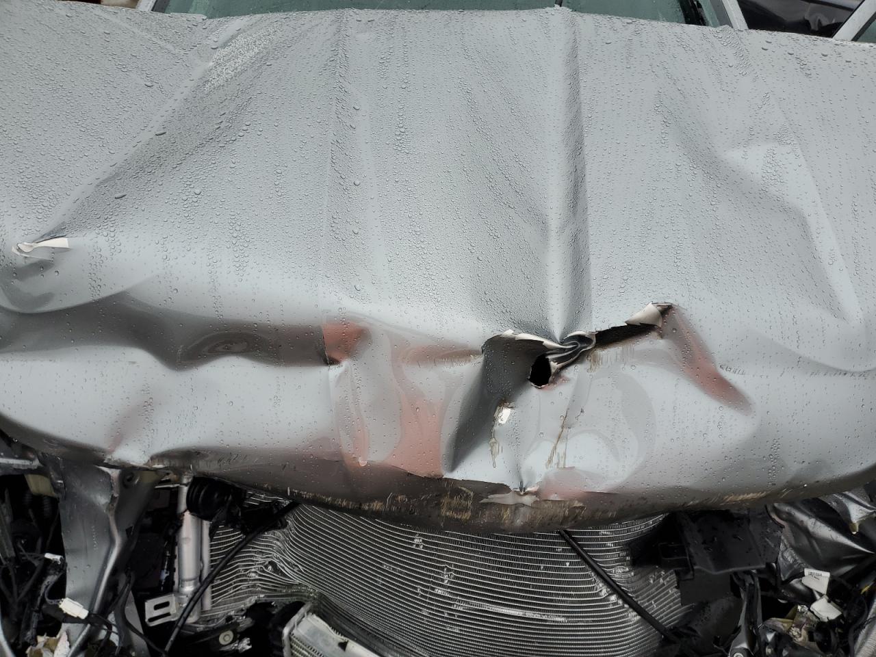 2023 CHEVROLET COLORADO  VIN:1GCPTBEK6P1172159