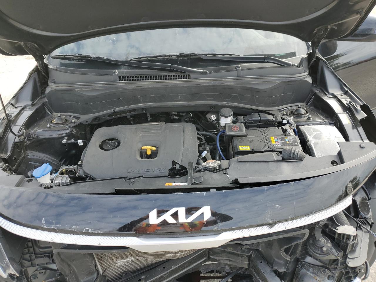 2023 KIA SELTOS LX VIN:KNDEPCAA0P7405626