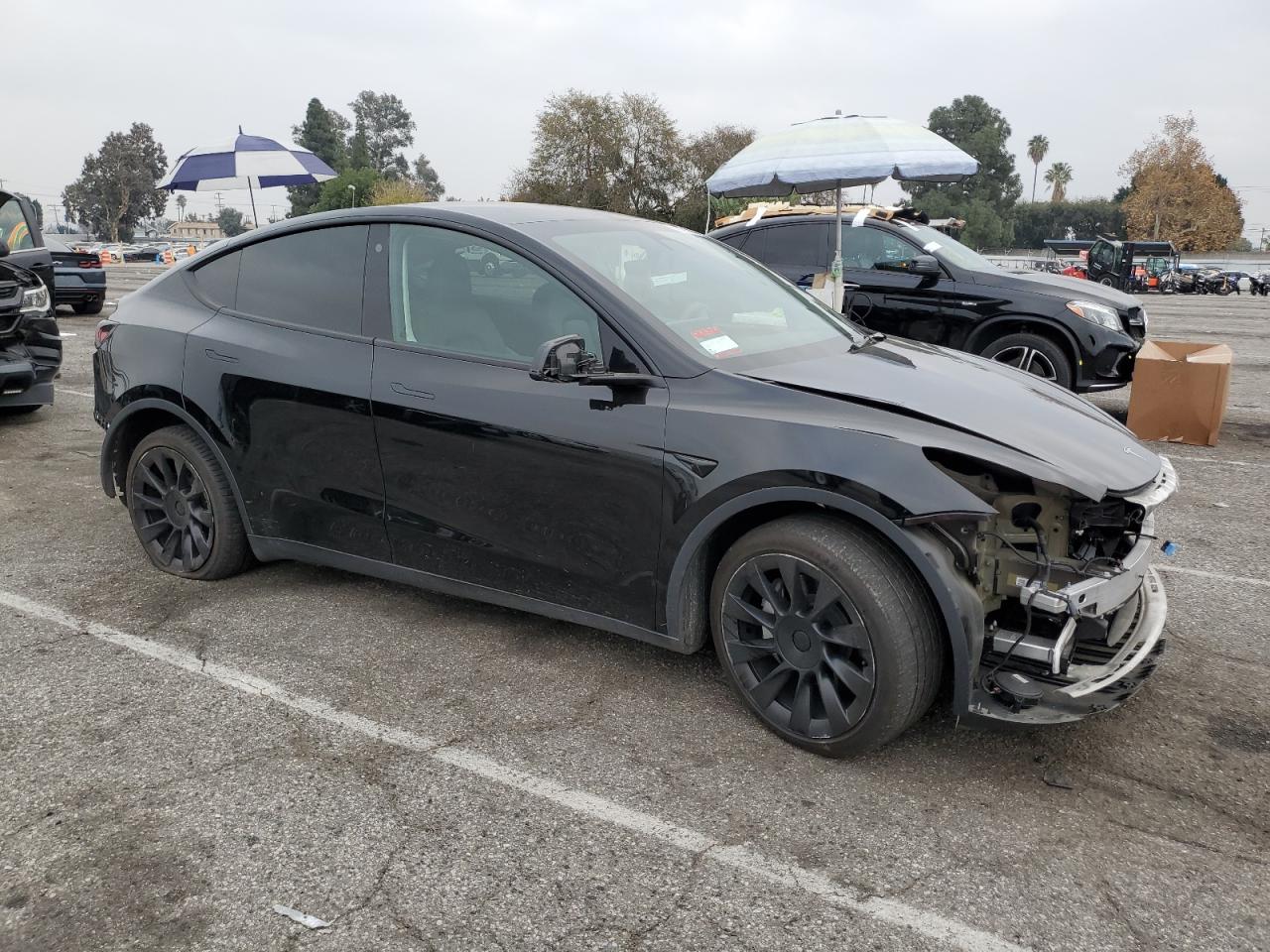 2023 TESLA MODEL Y  VIN:7SAYGDEE5PA025854