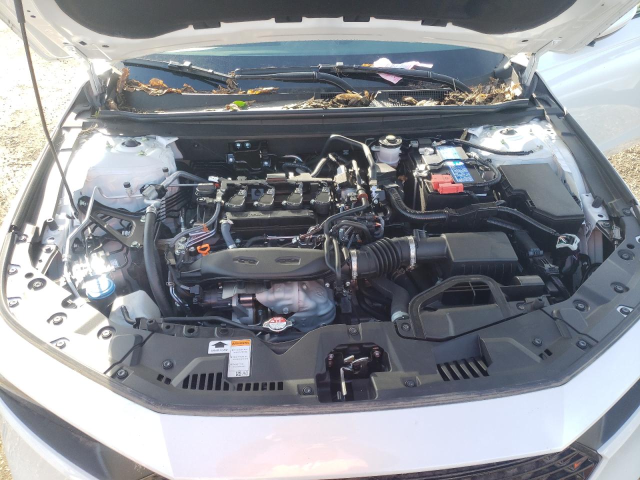 2023 HONDA ACCORD EX VIN:1HGCY1F3XPA042792