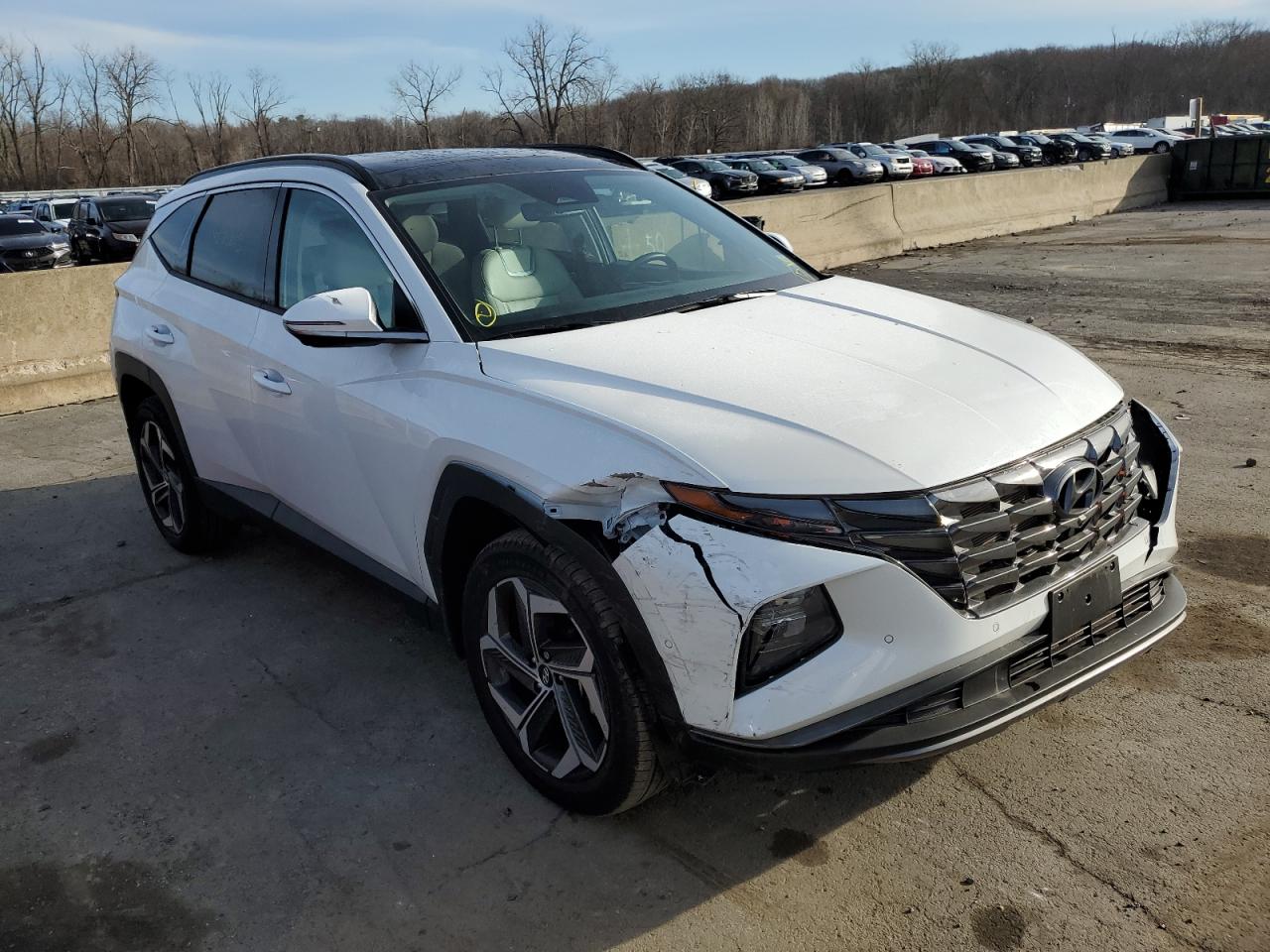 2022 HYUNDAI TUCSON LIMITED VIN:5NMJECAE0NH126304