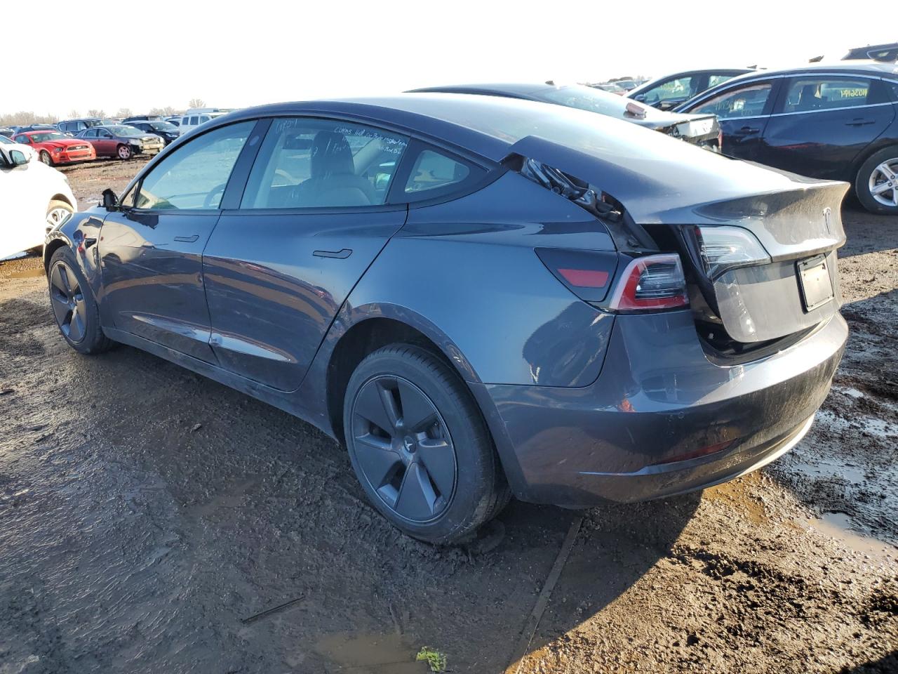 2022 TESLA MODEL 3  VIN:5YJ3E1EA7NF369730