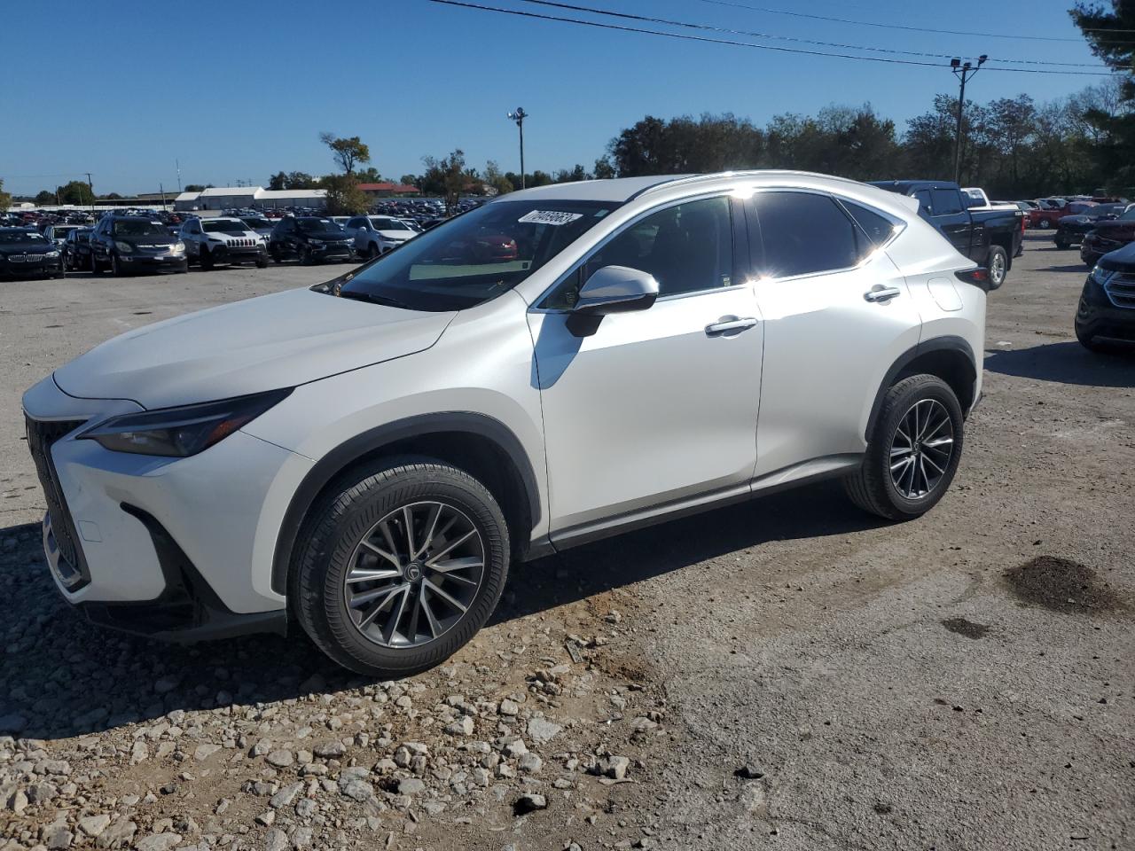 2022 LEXUS NX 250 VIN:JTJADCEZ7N5000392